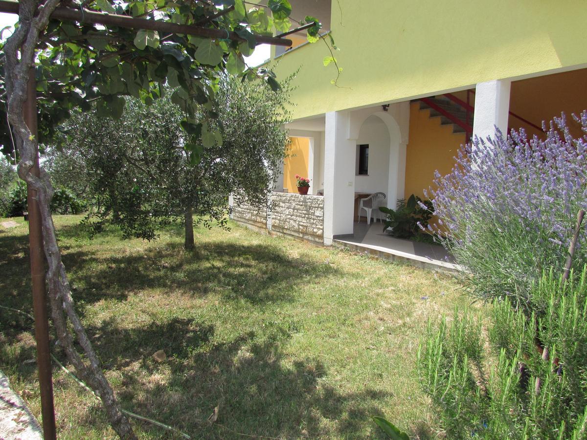 Apartments Goga Umag Exterior foto